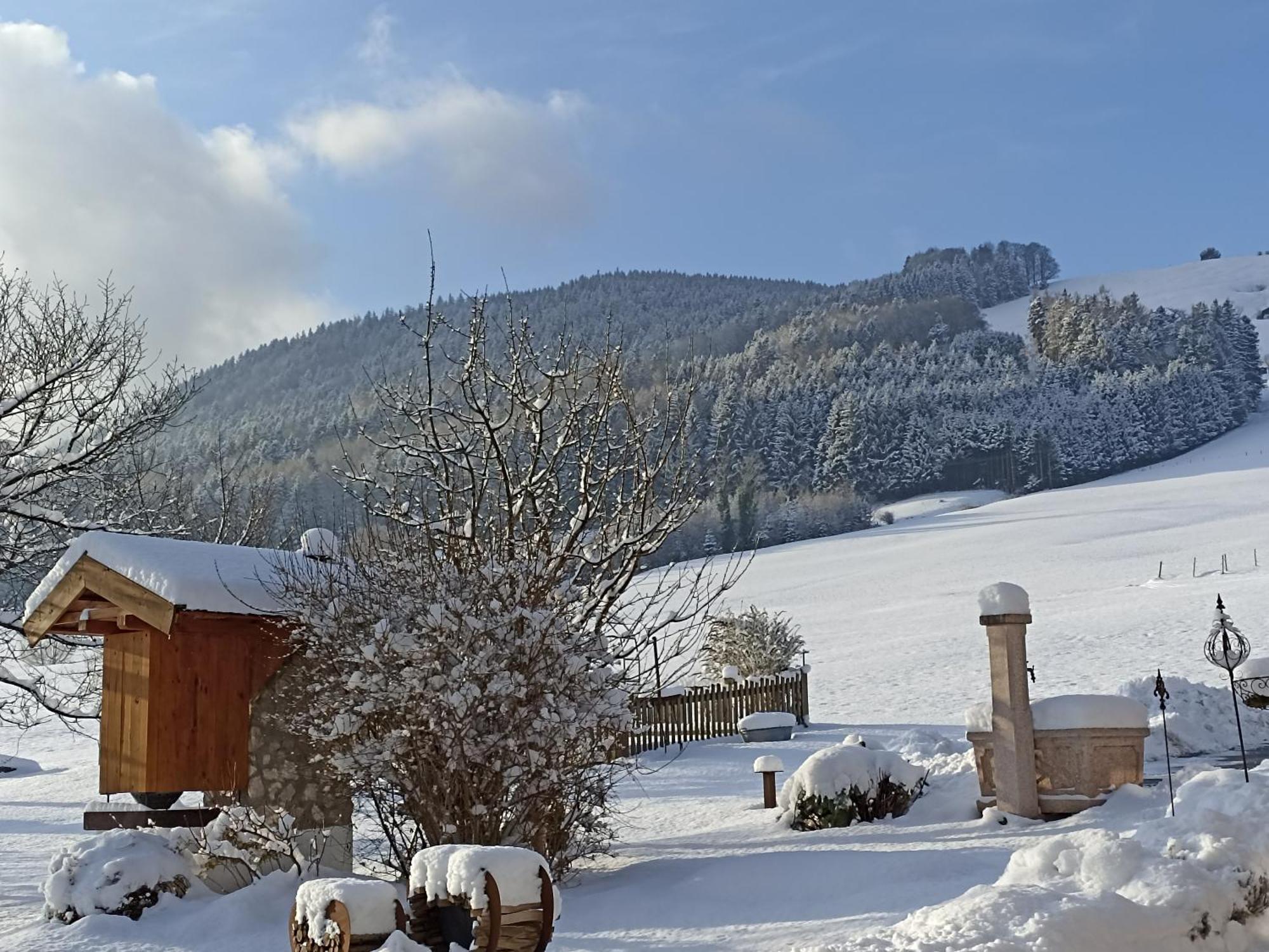 Landhaus Kamml Anger Exterior foto